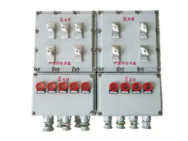FXM(D)69 Series Explosion Proof Lighting & Power Distribution Box