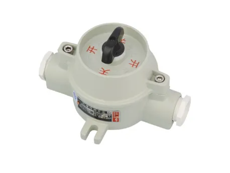 SW-10 Series Explosion Proof Illumination Control Switches