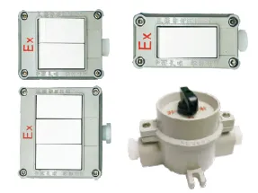 SW-10 Series Explosion Proof Illumination Control Switches