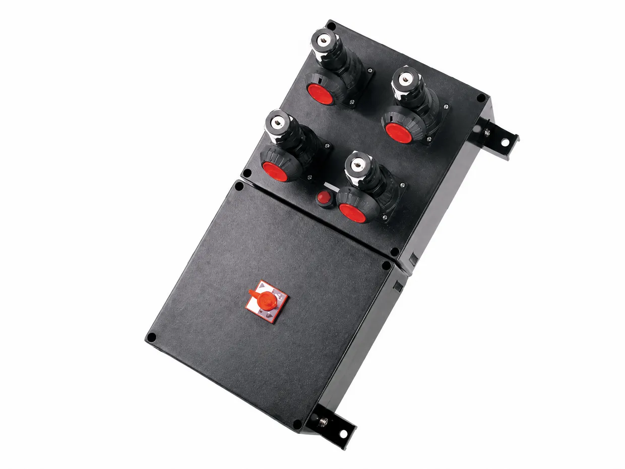 BXX69 Series Explosion Proof and Corrosion Resistant Power Maintenance Distribution Box