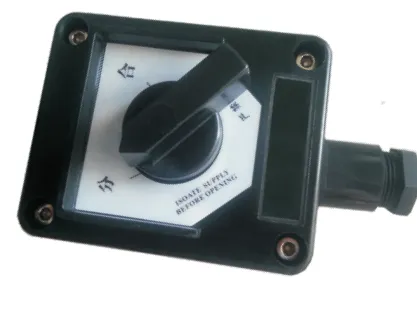 SW-10 Series Explosion Proof and Corrosion Resistant Lighting Switch
