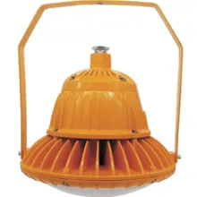 GSD51 Series Explosion-proof LED Light