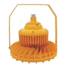 GSD52 Series Explosion-proof LED Light