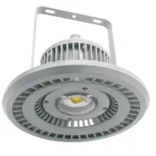 GSD53 Series Explosion-proof LED Light