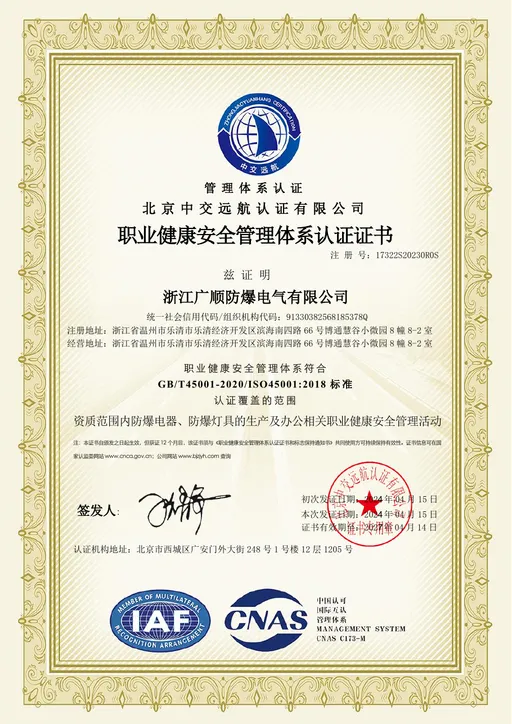 ISO 45001 preview