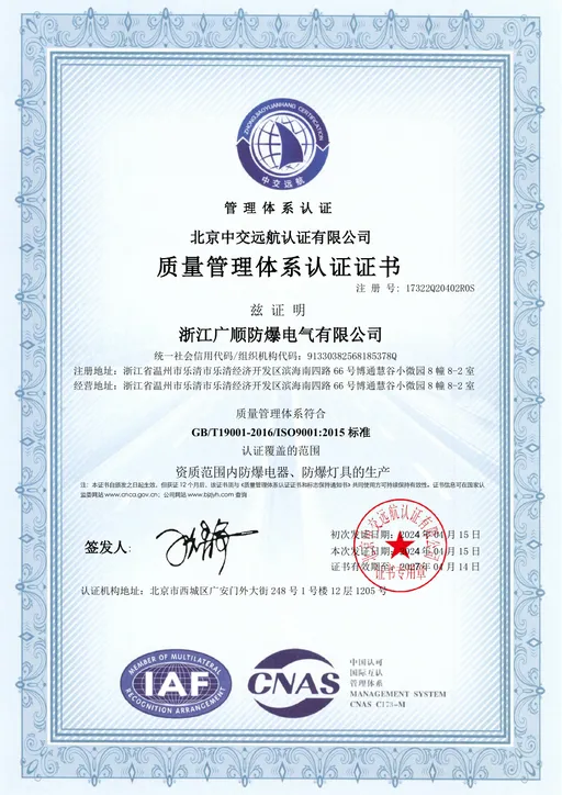 ISO 9001 preview