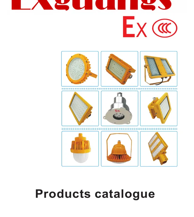 EXGUANGS Brochure 2024