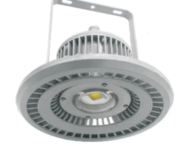 GSD53 Series Explosion-proof LED Light