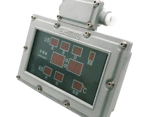 GSD109 Series Explosion Proof Electronic Clock