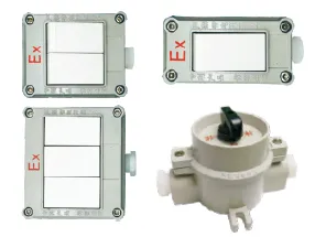 SW-10 Series Explosion Proof Illumination Control Switches